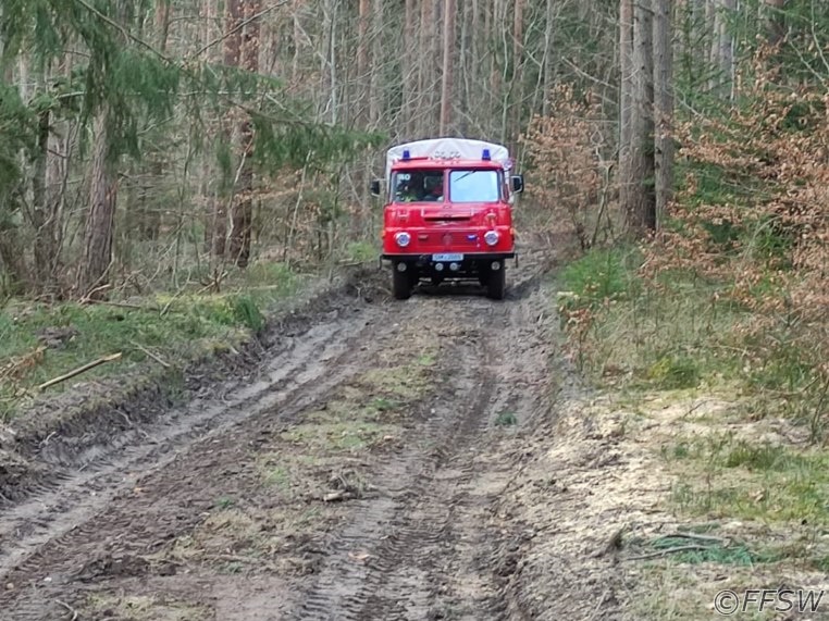 gestürzte Person im Wald